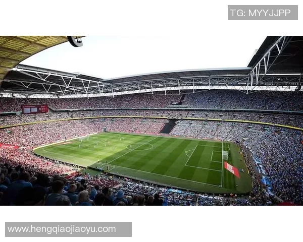 欧冠门票系统崩溃数万球迷排队奋战12小时争抢梦寐以求的入场券