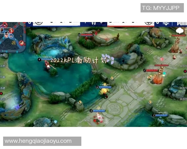 聚焦王者荣耀TES团队协作的成功秘诀与挑战分析MBA